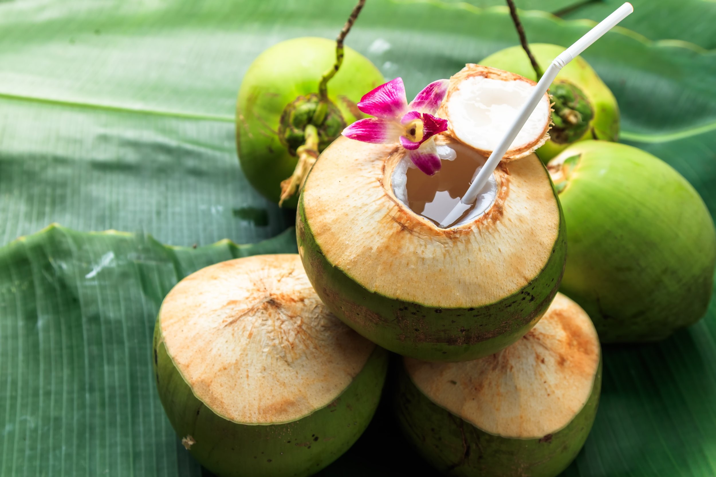 coconut water6