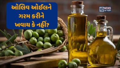 જમવામાં વાપરો છો ઓલિવ ઓઈલ? ક્યારે બને છે ખતરનાક, જાણો ઉપયોગની યોગ્ય રીત hum dekhenge news