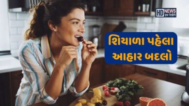 ઠંડી આવે એ પહેલાથી જ ડાયેટમાં લાવી દો આ પરિવર્તન, શરદી-ખાંસી, તાવથી બચશો hum dekhenge news