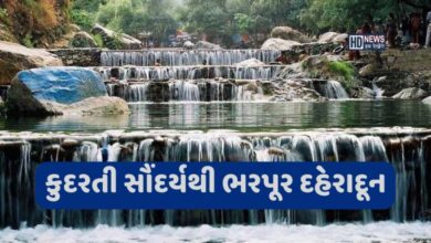 કુદરતી સૌંદર્યથી ભરપૂર છે દહેરાદૂન, આ પાંચ જગ્યાની જરૂર લો મુલાકાત hum dekhenge news