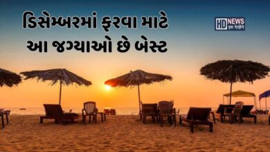 ડિસેમ્બરમાં ફેમિલી સાથે ફરવા માટે આ સાત જગ્યા છે બેસ્ટ hum dekhenge news