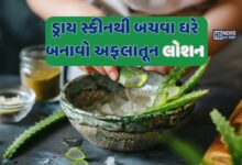 Winter Skin Care: ડ્રાય સ્કિનથી બચવા ઘરે બનાવો એલોવેરા બોડી લોશન hum dekhenge news