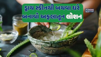 Winter Skin Care: ડ્રાય સ્કિનથી બચવા ઘરે બનાવો એલોવેરા બોડી લોશન hum dekhenge news