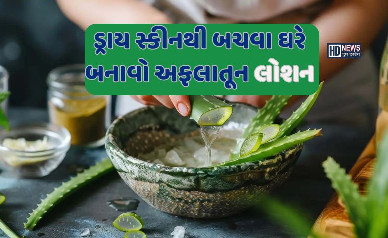 Winter Skin Care: ડ્રાય સ્કિનથી બચવા ઘરે બનાવો એલોવેરા બોડી લોશન hum dekhenge news