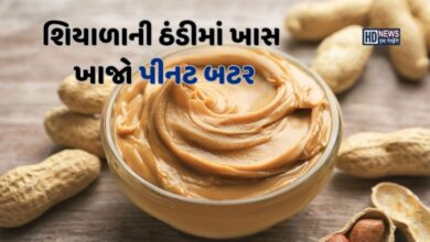 ઠંડીમાં પીનટ બટરનું સેવન કેમ છે ફાયદાકારક? જાણો તેના લાભ hum dekhenge news