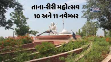 તાના-રીરી મહોત્સવનો 10 નવેમ્બરથી પ્રારંભ: સંગીત ક્ષેત્રના પ્રસિદ્ધ કલાકારો વડનગરને ડોલાવશે hum dekhenge news