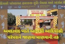 આદિવાસી મેળાનું આયોજન HDNews