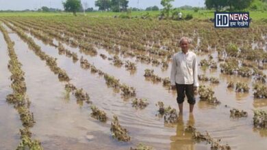 Farmers