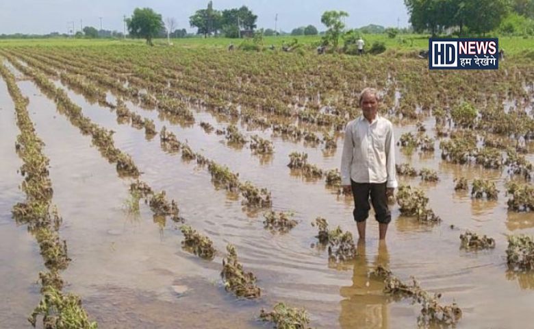 Farmers