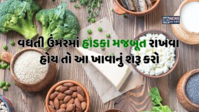 હાડકામાં નવો જોશ ભરી દેશે 6 કેલ્શિયમ રિચ ફૂડ hum dekhenge news