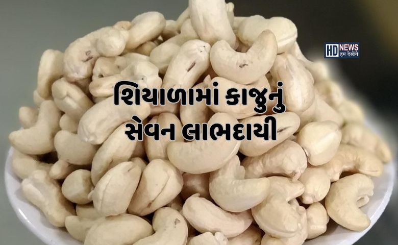 શિયાળામાં કાજુનું સેવન કરવું કેમ છે ફાયદાકારક? એનર્જી ડબલ કરશે hum dekhenge news