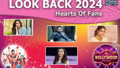 look back - hearts of fans - HDNews