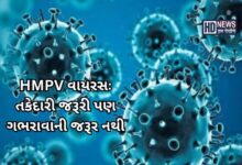 HMPV વાયરસ - HDNews