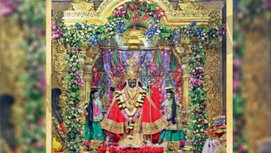 BhadrakaliMataji